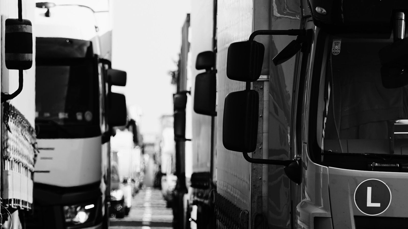 Fleet Dash Cams
